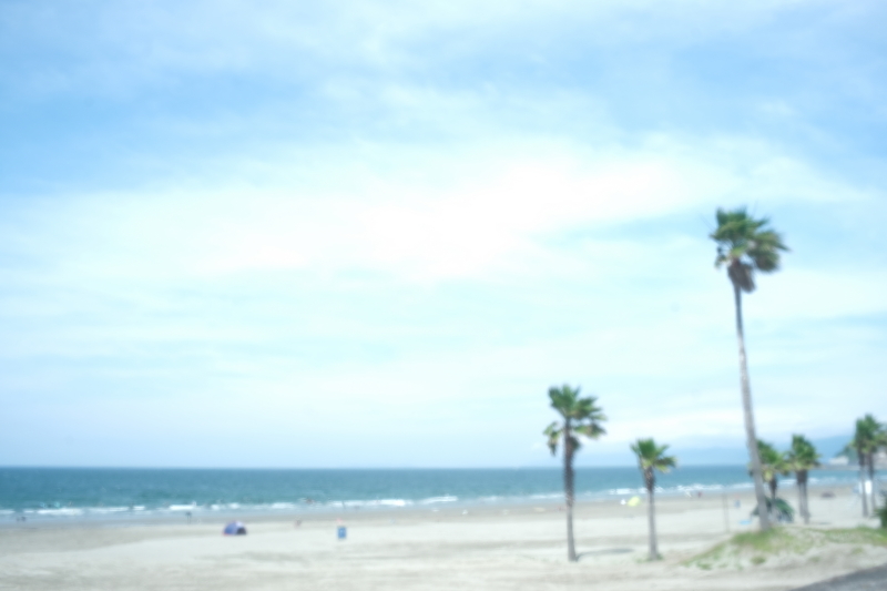 夏の海