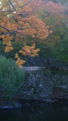 紅葉狩り