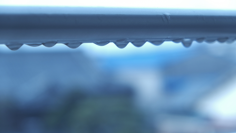 雨粒～春の訪れ