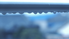 雨粒～春の訪れ