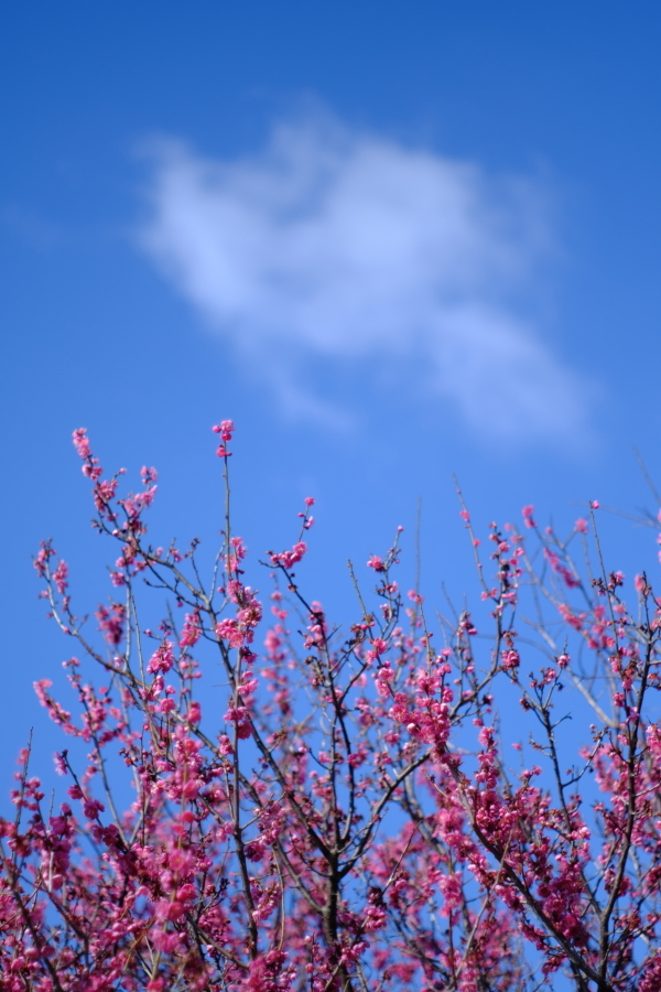 青空