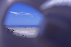 海