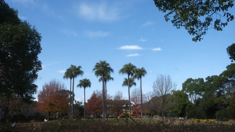 晩秋