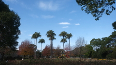 晩秋