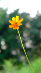DSCF1847