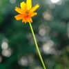 DSCF1847