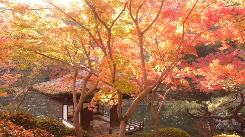 関西紅葉スポット