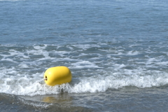 夏～海に連れてってね