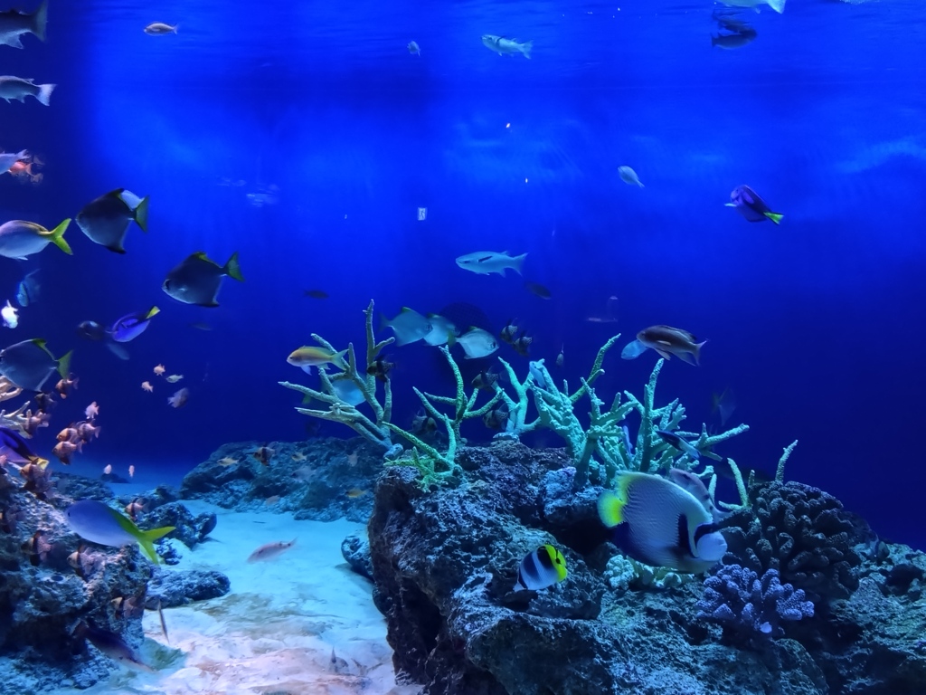 江ノ島水族館