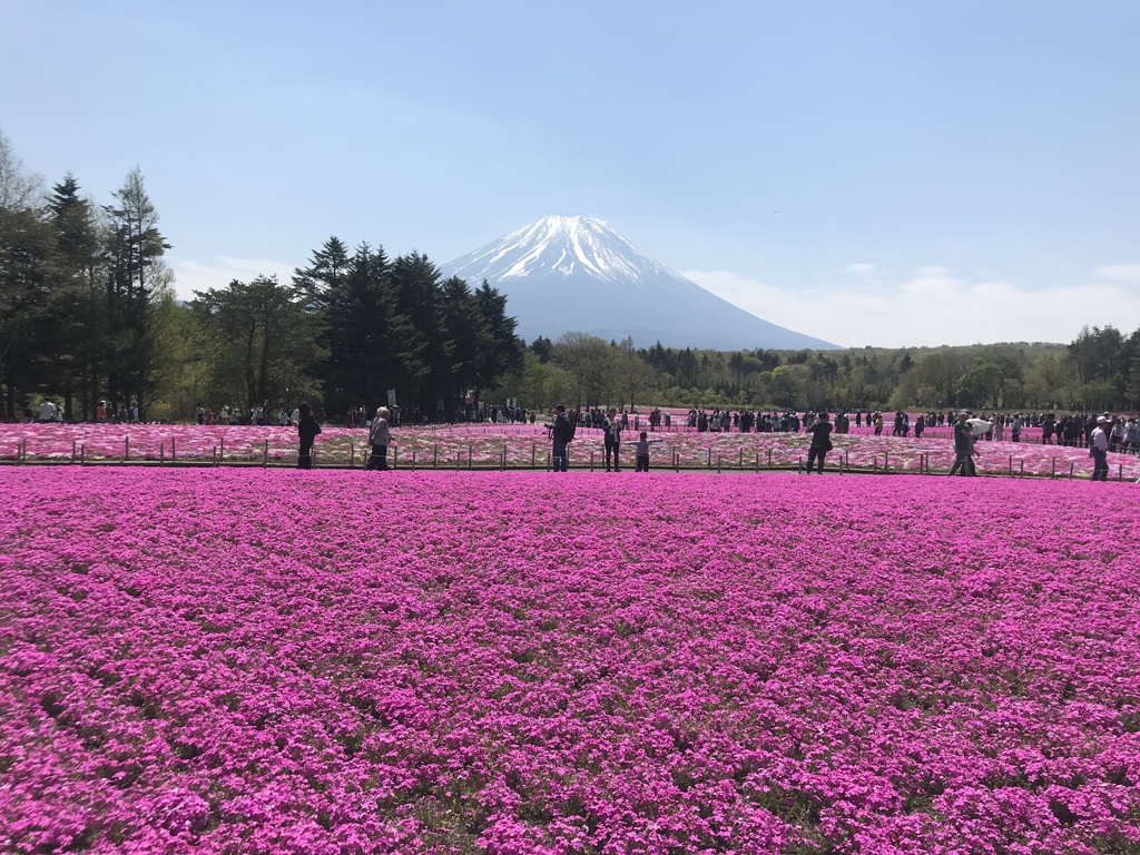 2019.5.11①