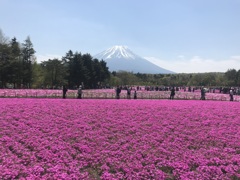 2019.5.11①