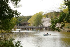 sakura ＠浮見堂