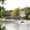 sakura ＠浮見堂