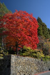 諏訪大社　4社巡り