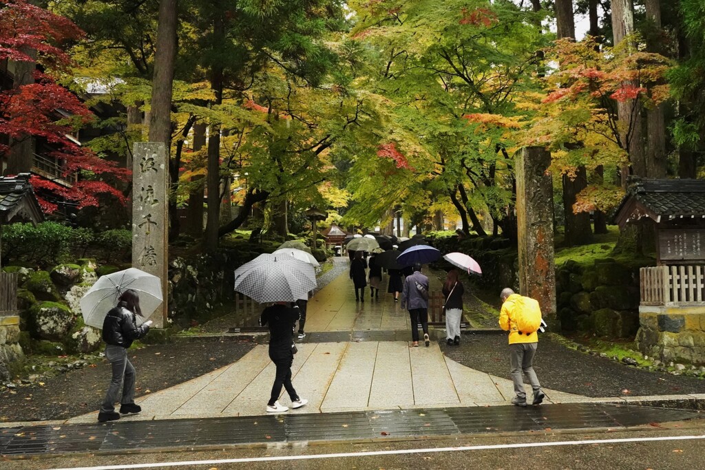 永平寺　雨と紅葉