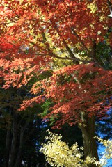 頭上のキラキラ