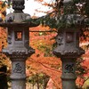灯篭にも彩どりを