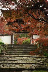 石段と紅葉の山門