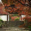 石段と紅葉の山門
