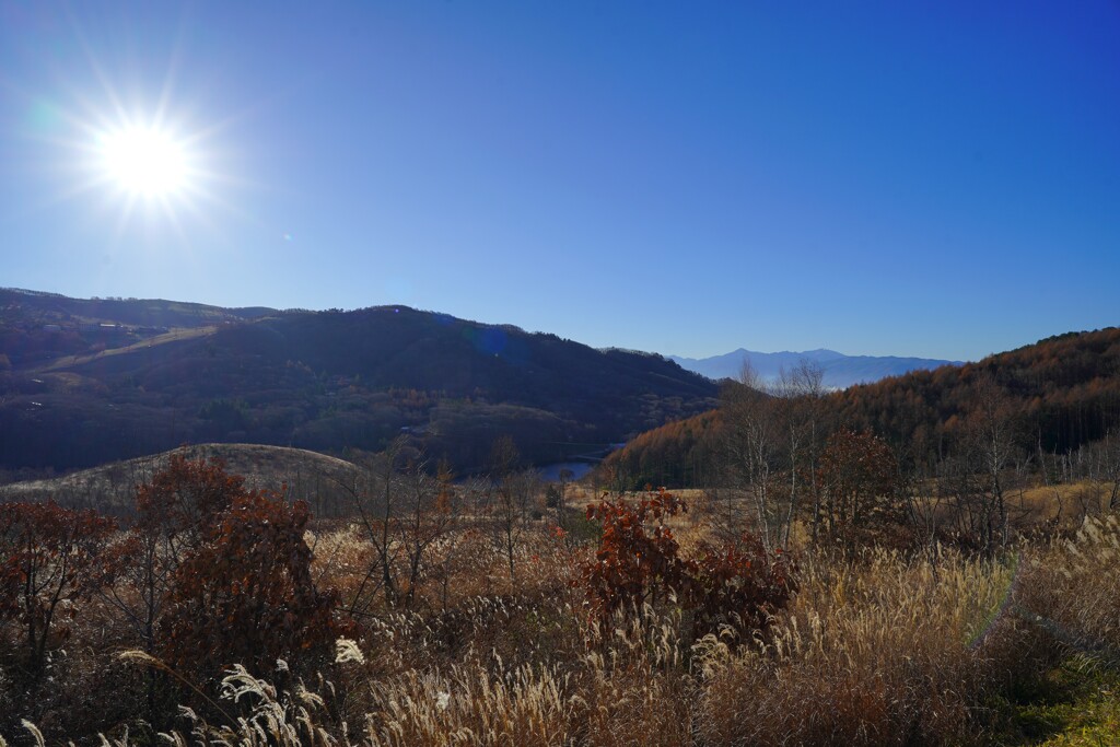 ビーナスライン　蓼科高原 - 白樺湖 - 車山高原 - 霧ヶ峰