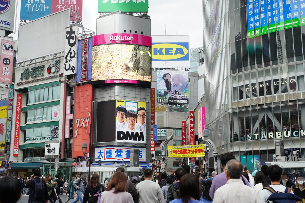 渋谷