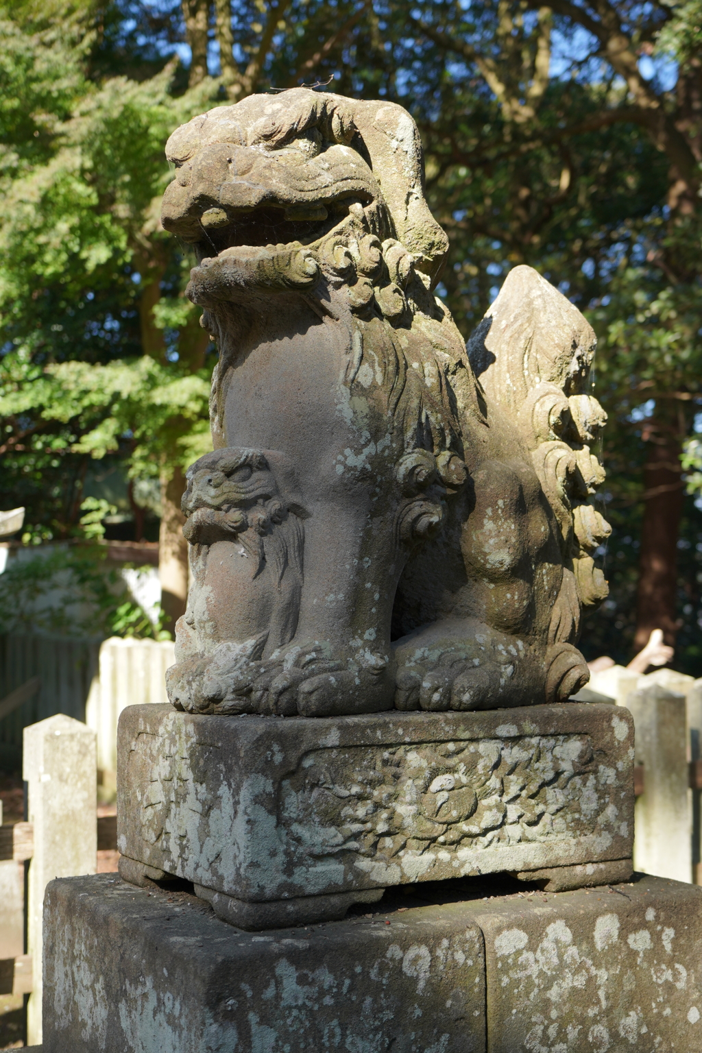 三國神社の狛犬郡