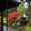 永平寺　雨と紅葉