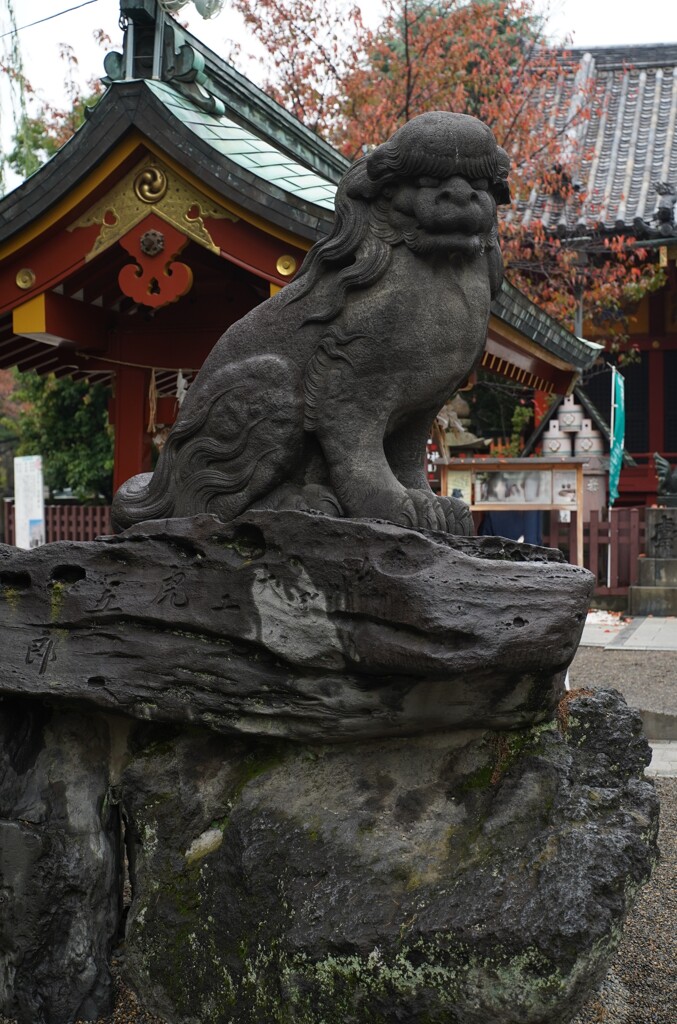 狛犬