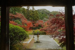 静かな縁先からの、秋の庭