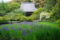 長岳寺