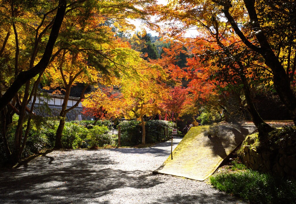 正歴寺 紅葉