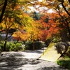 正歴寺 紅葉