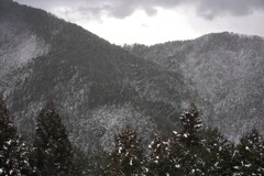 吹雪いてます