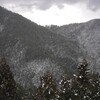 吹雪いてます