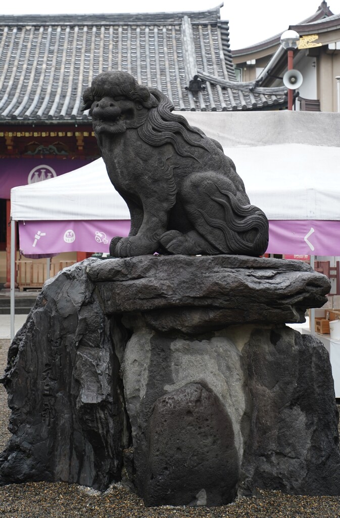 狛犬
