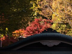 紅葉＠宝山寺
