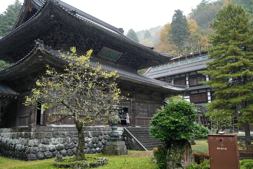 永平寺　雨と紅葉