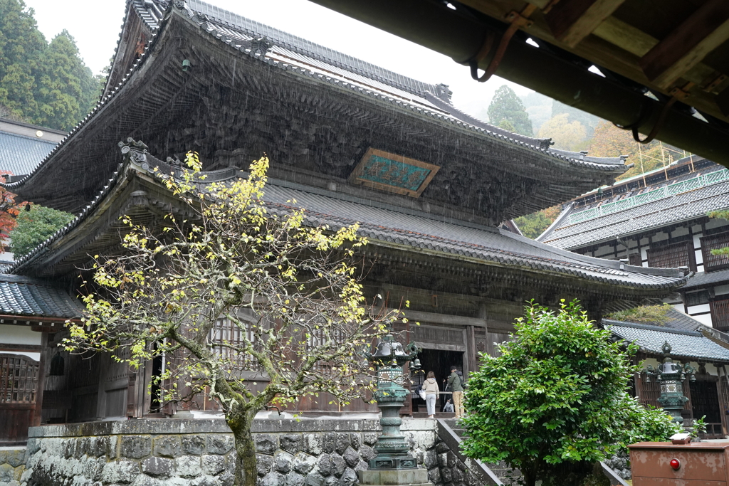雨の永平寺