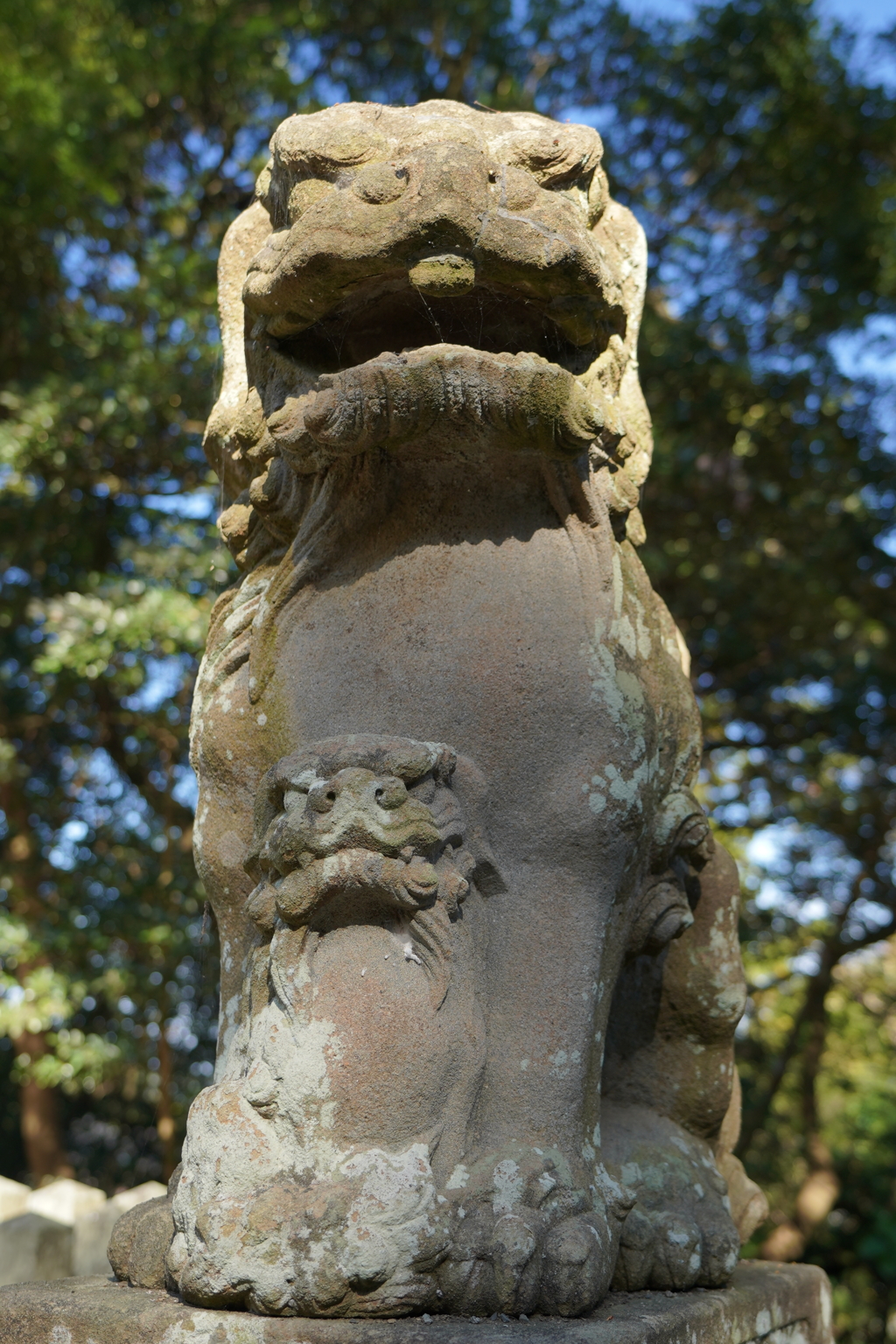三國神社の狛犬郡