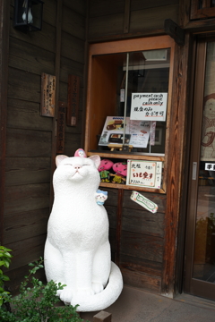 白猫ちゃん