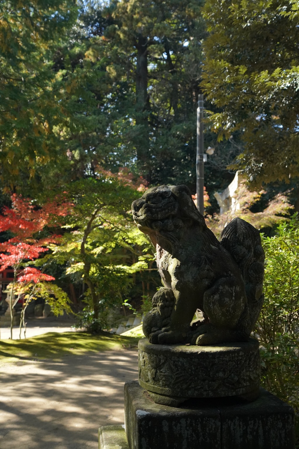 三國神社の狛犬郡