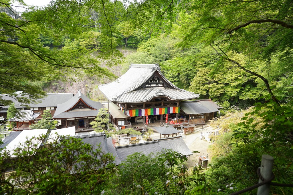 岡寺