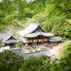 岡寺