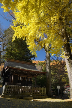 諏訪大社　4社巡り