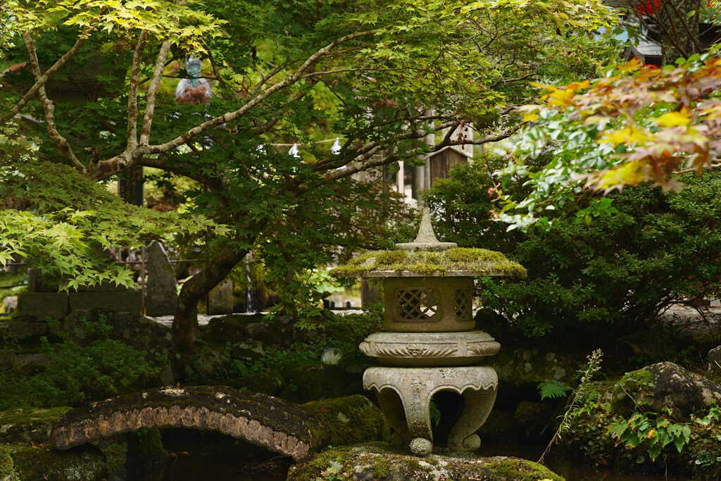 洞川温泉　竜泉寺