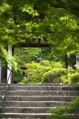 長岳寺