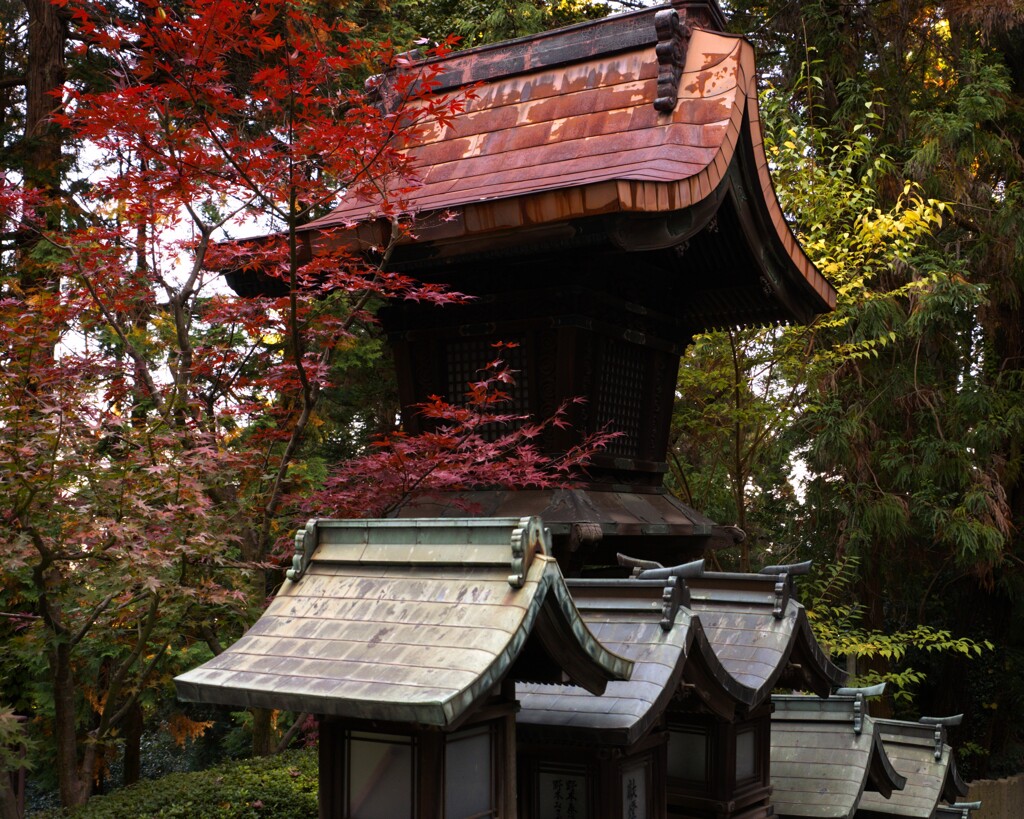 紅葉＠宝山寺