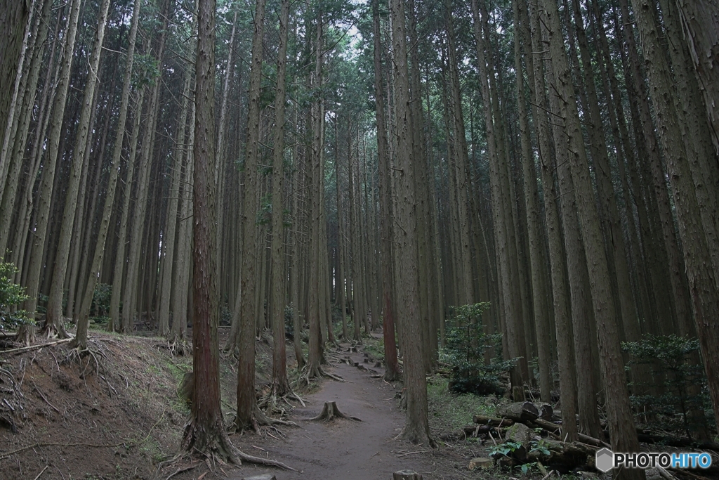 静かな空間