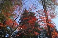 頭上のキラキラ