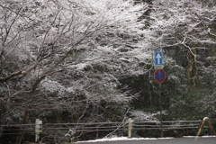 奈良 雪